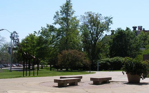 Many alumni support  the 威尼斯人在线 Arboretum by dedicating a commemorative tree to a student, 一位教授, 工作人员或亲人.