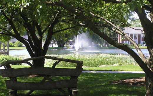 Biodiversity is a top goal for plant accession at Northwest since Dutch Elm Disease killed off many of the elm trees on campus, 哪一个占多数, 20世纪70年代.