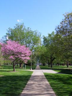 塔径环绕着大学钟楼, the oldest section of the Northwest campus. The trail begins east of 罗伯塔 Hall and contains 32 species.