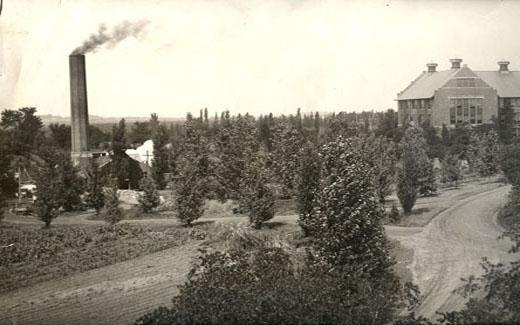 边缘's love of landscaping with trees resulted in a dense forest on practically all land that did not have buildings.  他的作品很快被称为“布林克森林”.