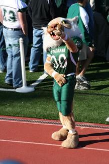 By the year 2000, Bobby Bearcat had evolved into a friendly, but fierce and muscular mascot wearing a full Northwest football uniform.  In fact, following the back-to-back Bearcat Football National Championship wins (1998-1999), Bobby was rarely seen out of a football uniform.  The picture shown is of a variation of the more athletic Bobby look, ca. 2007.