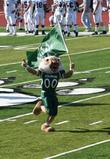 Bobby waves his official Bearcat flag during half-time at the 2007 Homecoming football game in Bearcat Stadium.